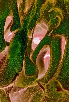 A 48B